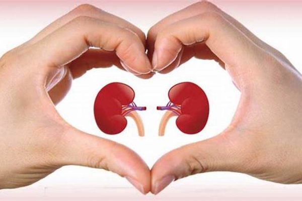 Kidney Transplant in Iran