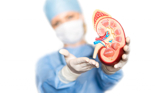 Kidney Transplant Surgery 2