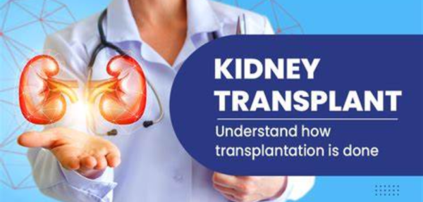 kidney transplant in iran