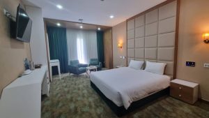 Moheb Health Village Double Room