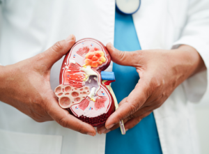 Chronic Kidney Disease CKD Treatment in iran