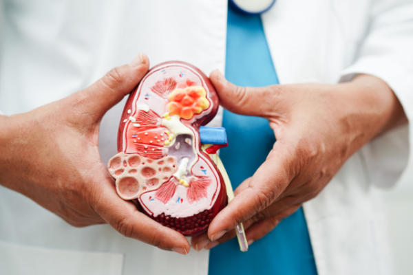 Chronic Kidney Disease CKD Treatment in iran